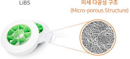 LiBS, 미세 다공성 구조(Micro-porous Structure)